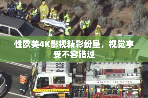性欧美4K影视精彩纷呈，视觉享受不容错过