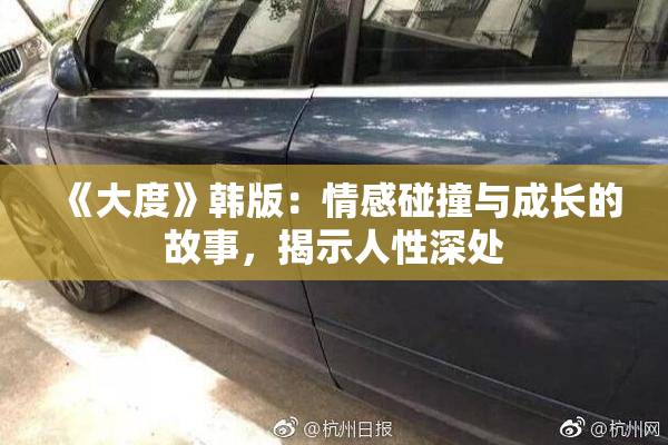《大度》韩版：情感碰撞与成长的故事，揭示人性深处