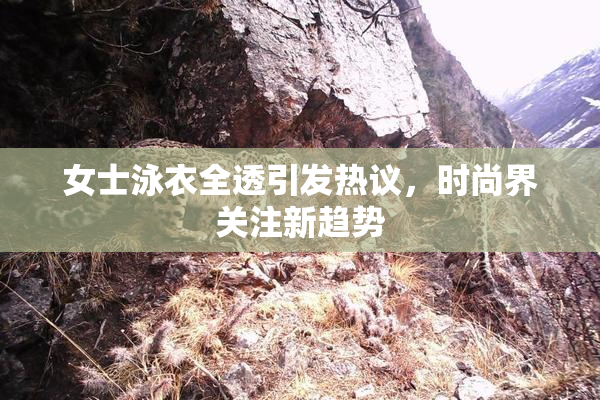 女士泳衣全透引发热议，时尚界关注新趋势