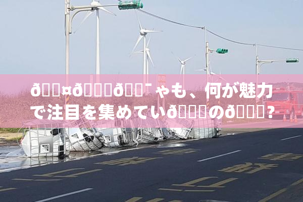🖤🌃🔯ゃも、何が魅力で注目を集めてい🌃の💋？