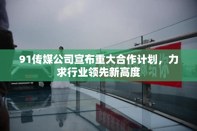91传媒公司宣布重大合作计划，力求行业领先新高度