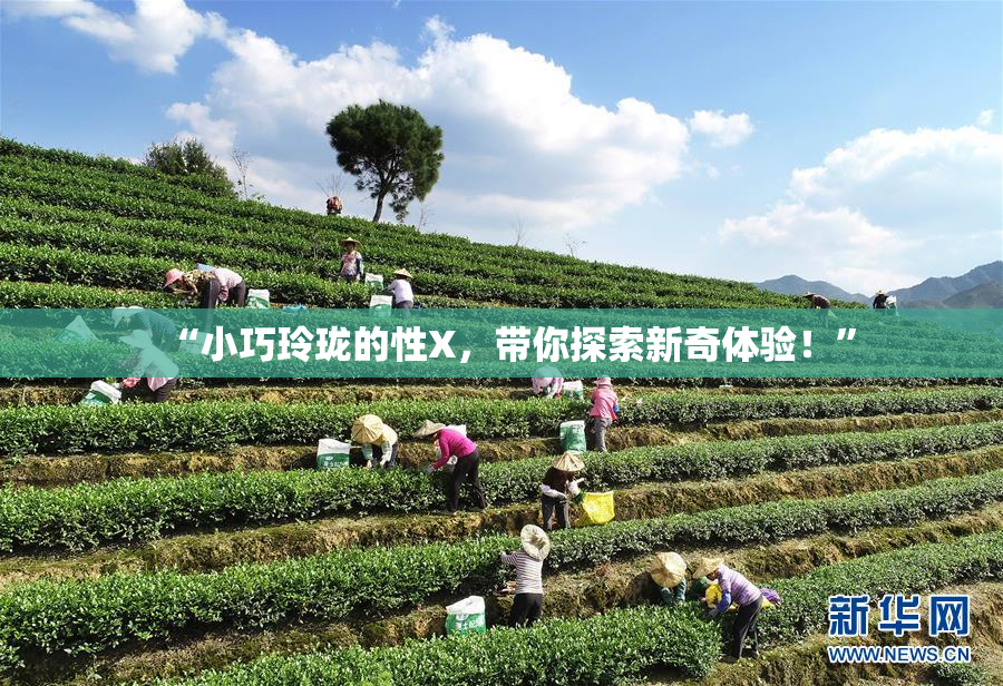 “小巧玲珑的性X，带你探索新奇体验！”