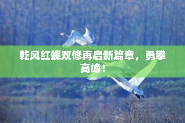 乾风红蝶双修再启新篇章，勇攀高峰！