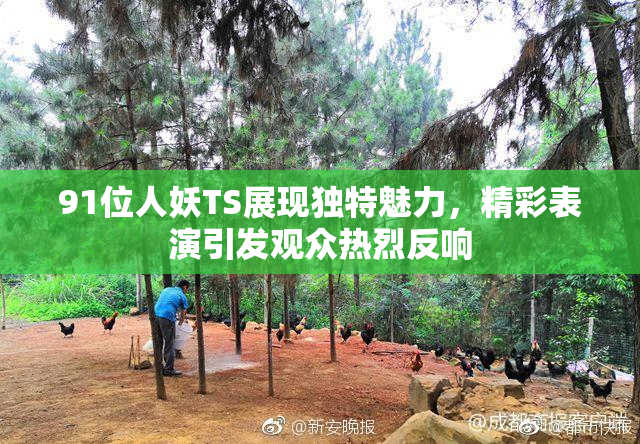 91位人妖TS展现独特魅力，精彩表演引发观众热烈反响
