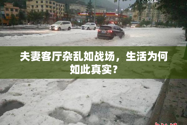 夫妻客厅杂乱如战场，生活为何如此真实？