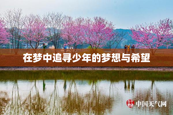 在梦中追寻少年的梦想与希望