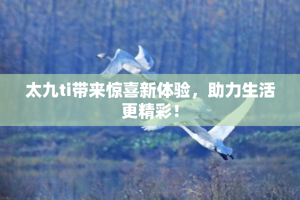 太九ti带来惊喜新体验，助力生活更精彩！
