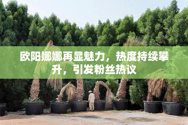欧阳娜娜再显魅力，热度持续攀升，引发粉丝热议