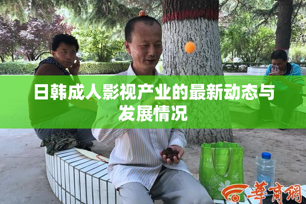 日韩成人影视产业的最新动态与发展情况