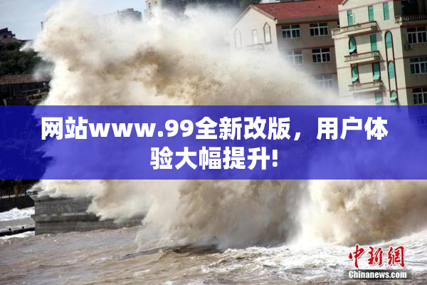 网站www.99全新改版，用户体验大幅提升!