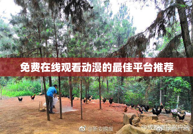 免费在线观看动漫的最佳平台推荐