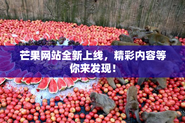 芒果网站全新上线，精彩内容等你来发现！