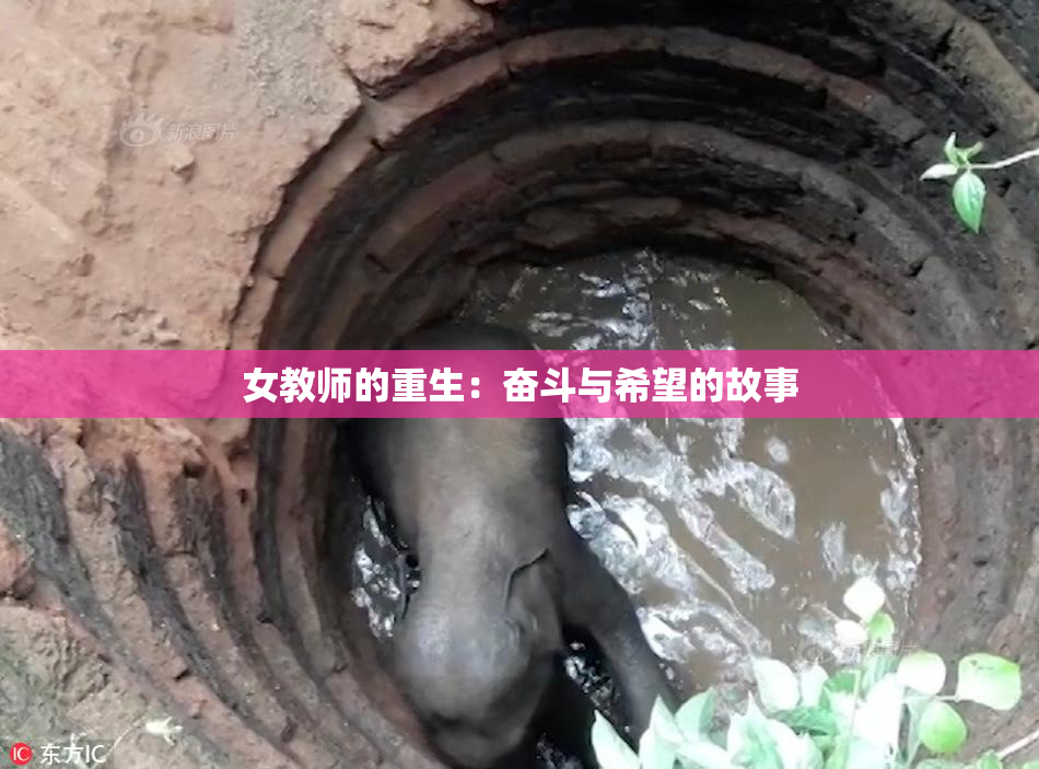 女教师的重生：奋斗与希望的故事