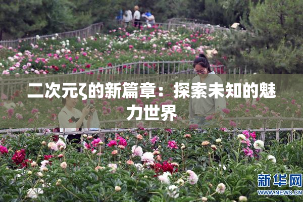 二次元ζ的新篇章：探索未知的魅力世界