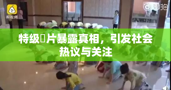 特级婬片暴露真相，引发社会热议与关注