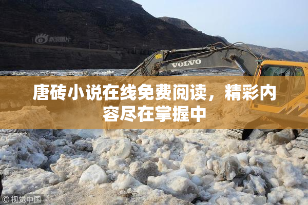唐砖小说在线免费阅读，精彩内容尽在掌握中