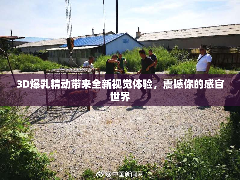 3D爆乳精动带来全新视觉体验，震撼你的感官世界
