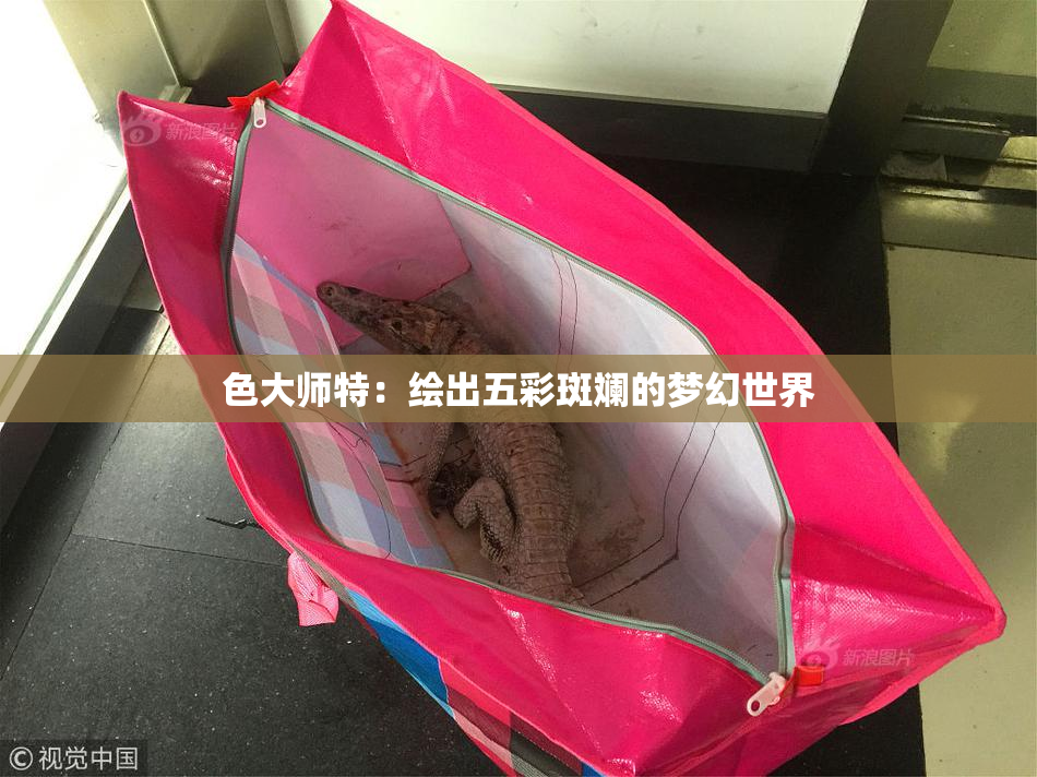色大师特：绘出五彩斑斓的梦幻世界
