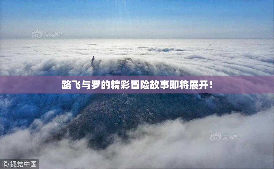 路飞与罗的精彩冒险故事即将展开！