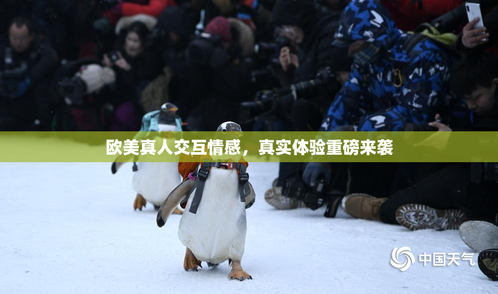 欧美真人交互情感，真实体验重磅来袭