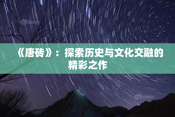 《唐砖》：探索历史与文化交融的精彩之作