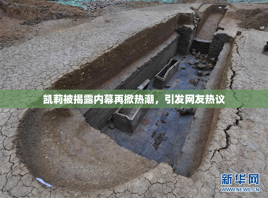 凯莉被揭露内幕再掀热潮，引发网友热议