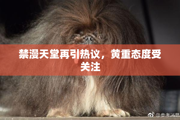 禁漫天堂再引热议，黄重态度受关注