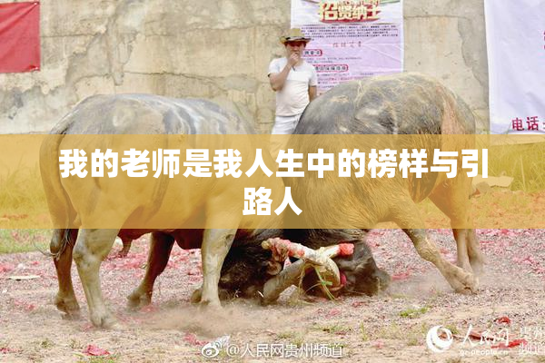 我的老师是我人生中的榜样与引路人