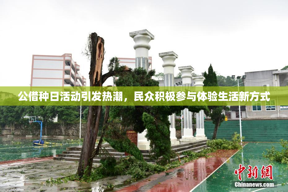 公借种日活动引发热潮，民众积极参与体验生活新方式