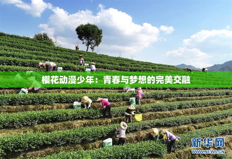 樱花动漫少年：青春与梦想的完美交融