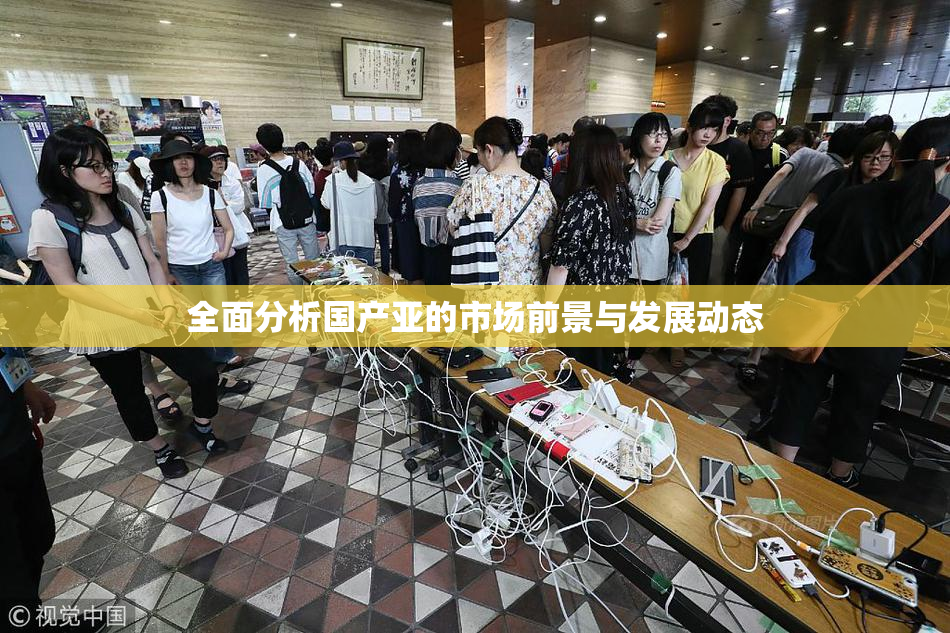 全面分析国产亚的市场前景与发展动态