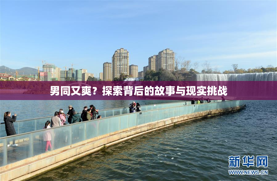 男同又爽？探索背后的故事与现实挑战
