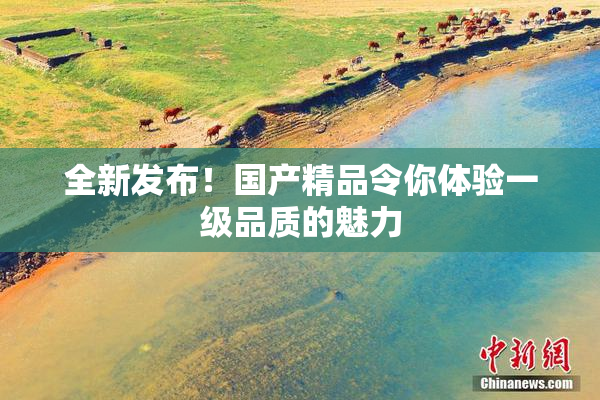 全新发布！国产精品令你体验一级品质的魅力