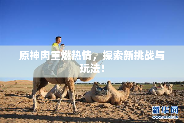 原神肉重燃热情，探索新挑战与玩法！