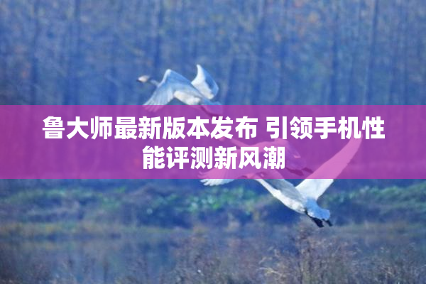 鲁大师最新版本发布 引领手机性能评测新风潮