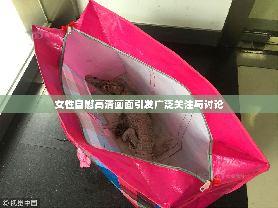 女性自慰高清画面引发广泛关注与讨论