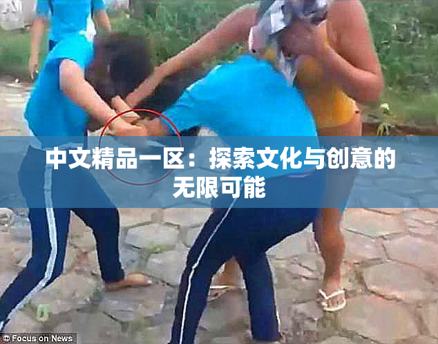 中文精品一区：探索文化与创意的无限可能