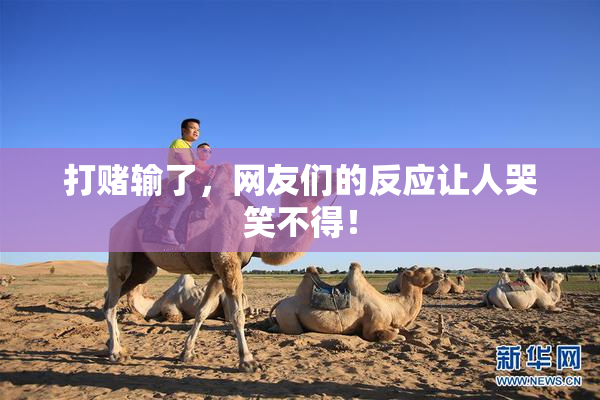 打赌输了，网友们的反应让人哭笑不得！
