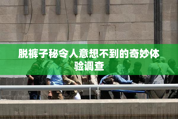 脱裤子秘令人意想不到的奇妙体验调查