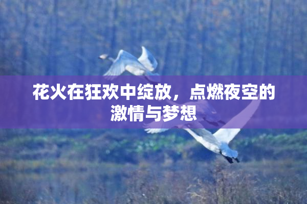 花火在狂欢中绽放，点燃夜空的激情与梦想