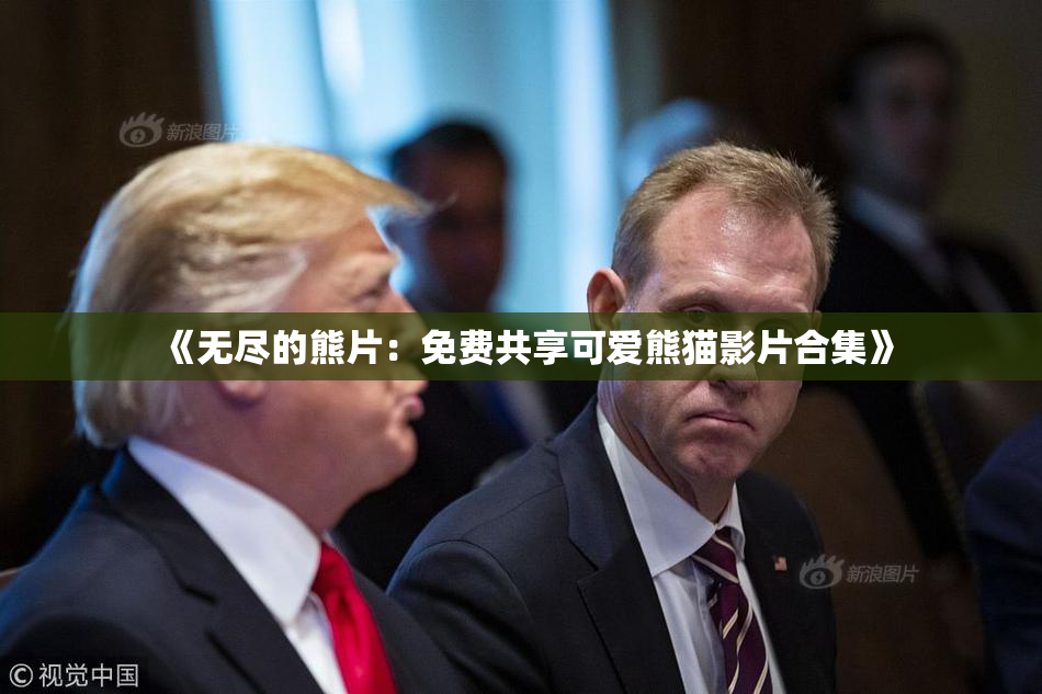 《无尽的熊片：免费共享可爱熊猫影片合集》