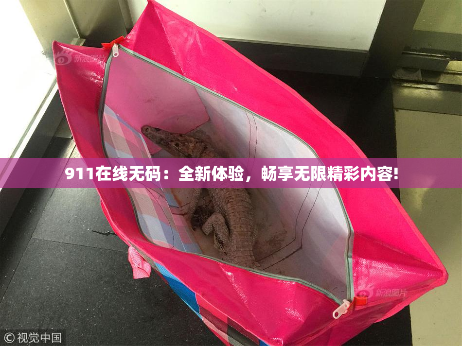 911在线无码：全新体验，畅享无限精彩内容!