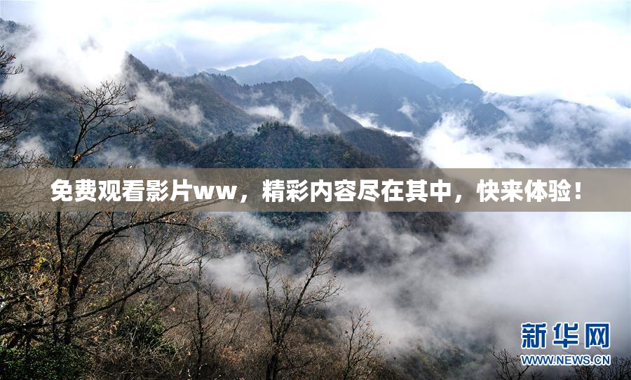 免费观看影片ww，精彩内容尽在其中，快来体验！