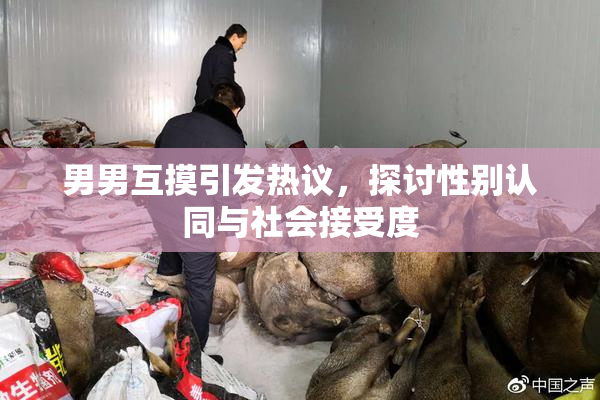 男男互摸引发热议，探讨性别认同与社会接受度