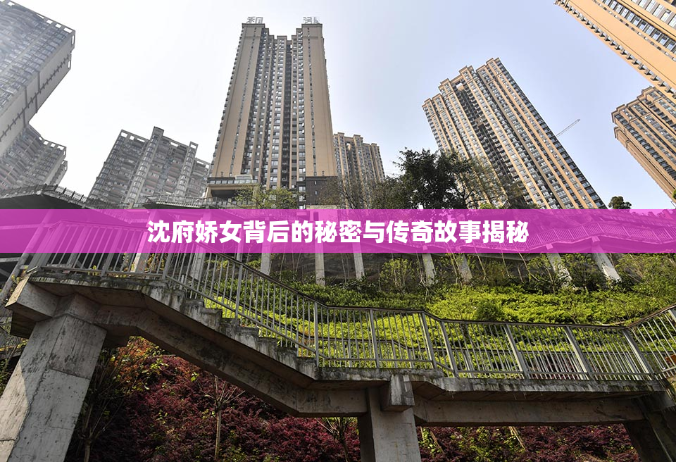 沈府娇女背后的秘密与传奇故事揭秘