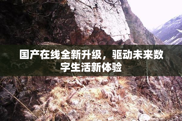 国产在线全新升级，驱动未来数字生活新体验