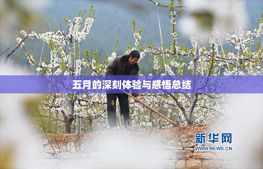 五月的深刻体验与感悟总结