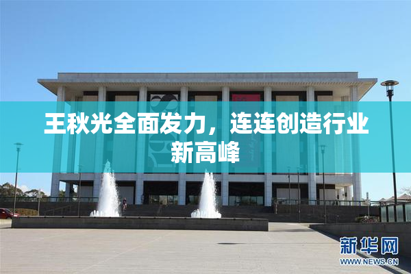王秋光全面发力，连连创造行业新高峰