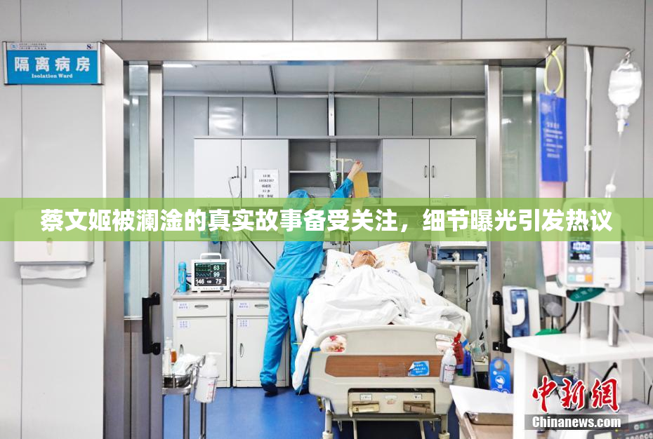 蔡文姬被澜淦的真实故事备受关注，细节曝光引发热议