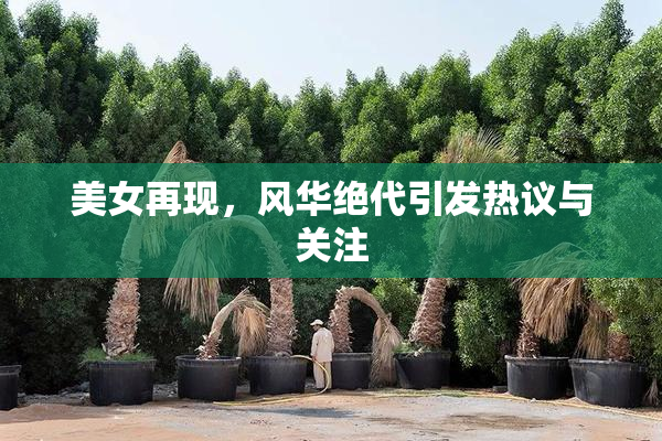美女再现，风华绝代引发热议与关注